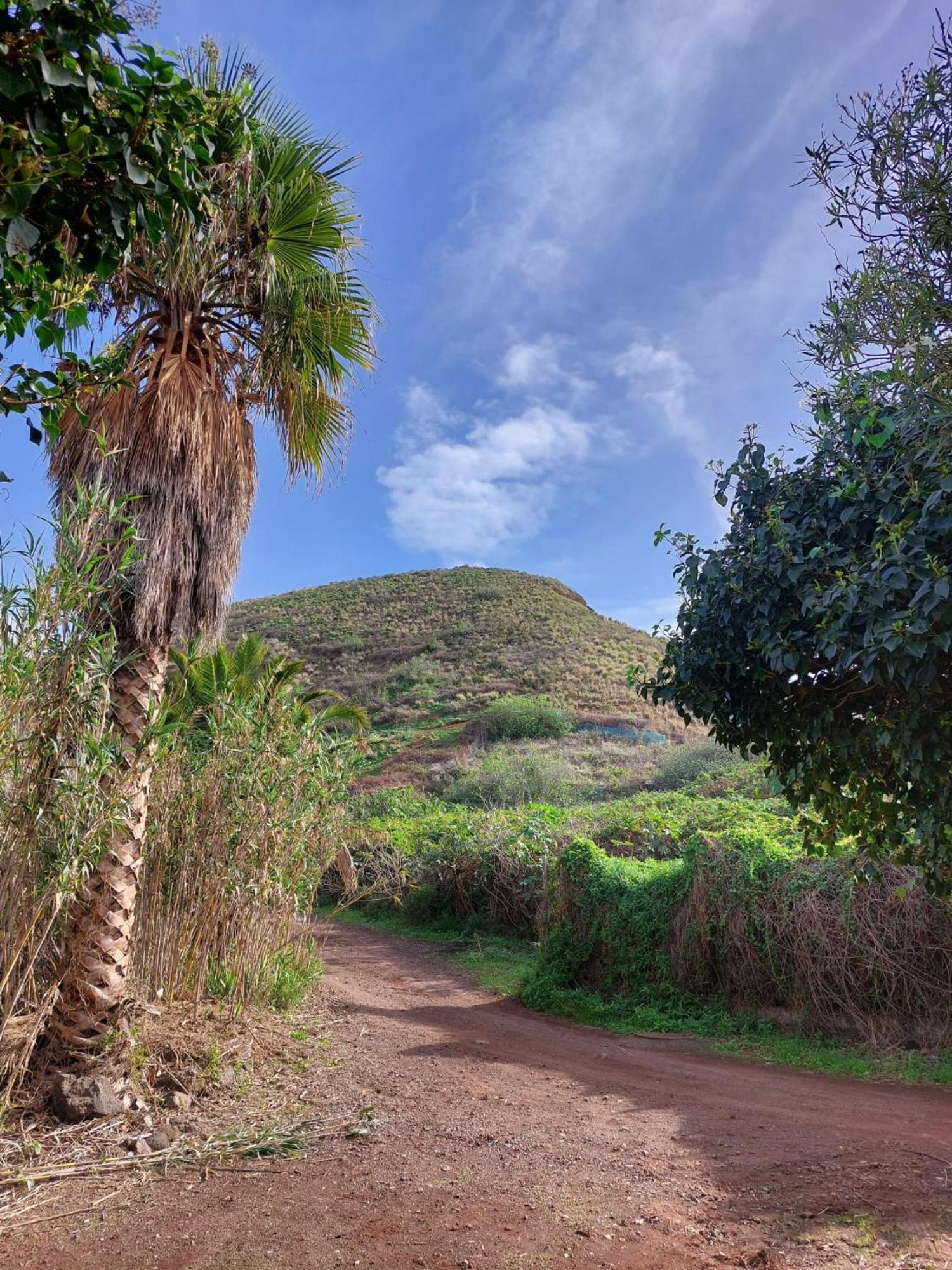 Casa Rural Dona Herminda La Matanza De Acentejo Exteriör bild