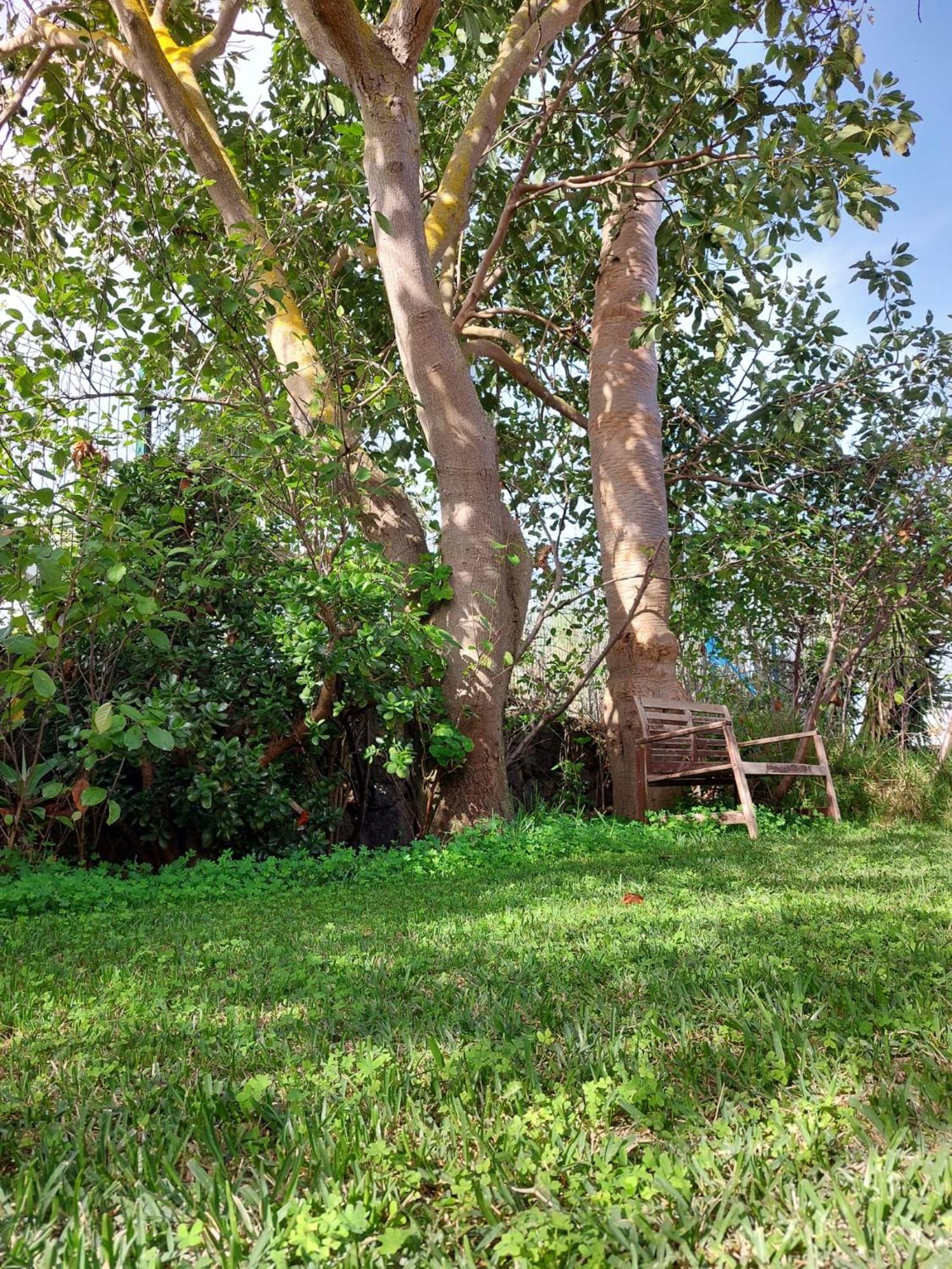 Casa Rural Dona Herminda La Matanza De Acentejo Exteriör bild