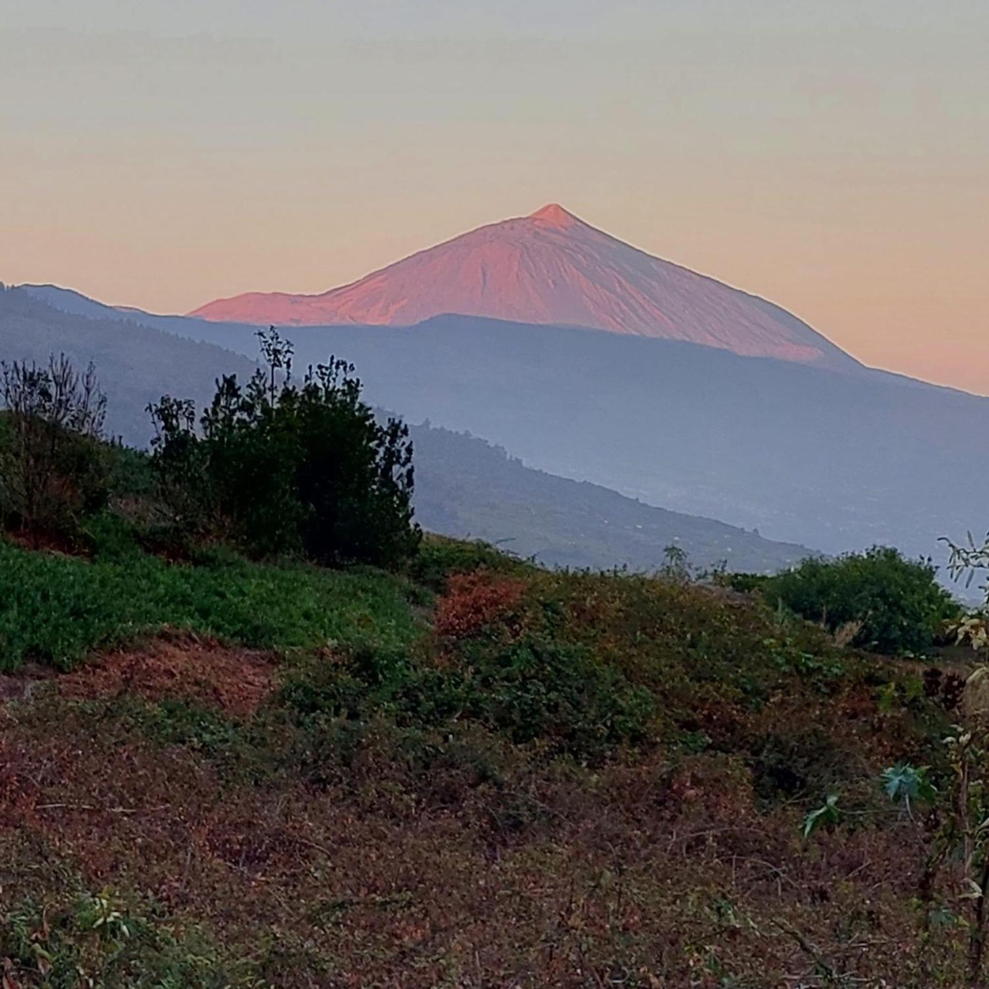 Casa Rural Dona Herminda La Matanza De Acentejo Exteriör bild